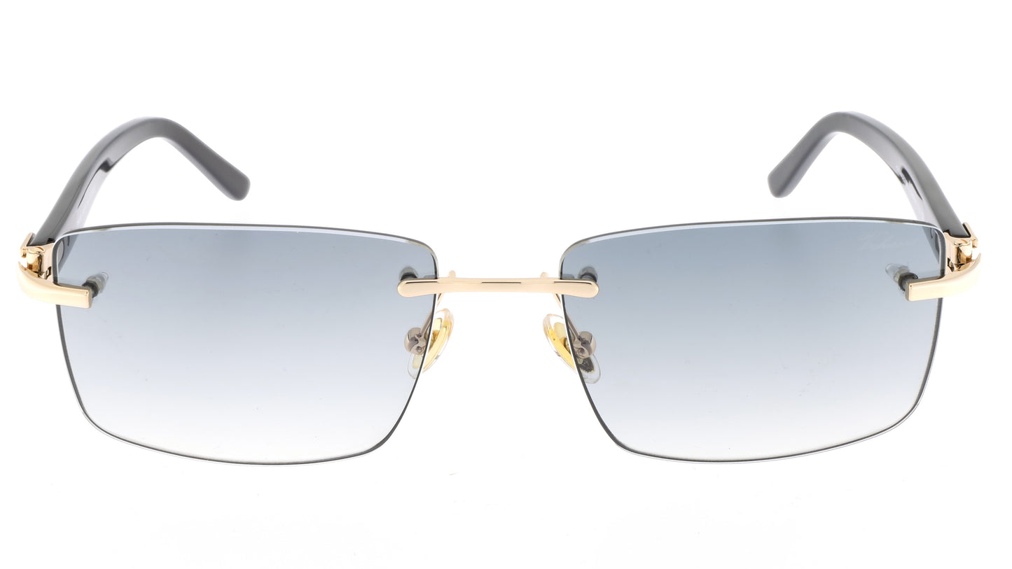 PV622S C1 Sunglasses